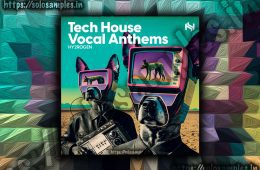 Tech House Vocal Anthems MULTi