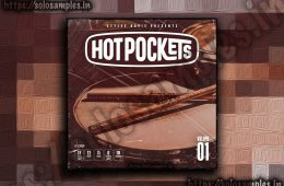 Styles Davis Hot Pockets Vol1 WAV