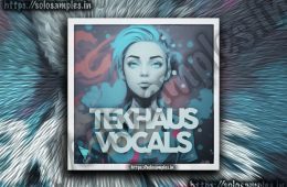 DABRO Music – Tekhaus Vocals MULTi