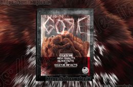 Soundmorph – GORE WAV