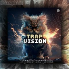 Smokey Loops – Trap Vision WAV