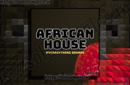 African House Vol 2 WAV