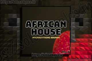 African House Vol 2 WAV