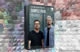 PML Artist Pack Vol2 – Polaroit – MULTi