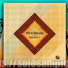 Transmission Afro House Session MULTi