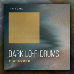 That Sound Dark Lo-Fi Drums WAV