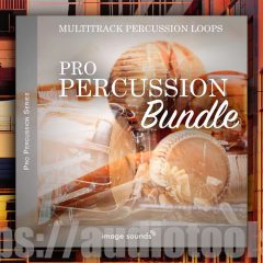 Image Sound Pro Percussion Bundle