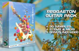 Midilatino Live Reggaeton Guitars Vol2