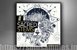 Zenhiser Sacred Stems WAV-MiD