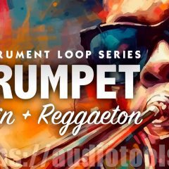 IS Trumpet Latin Reggaeton WAV