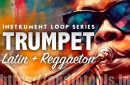 IS Trumpet Latin Reggaeton WAV