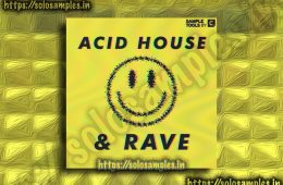 Acid House and Rave WAV