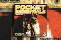 Pocket Essentials Vol2 WAV