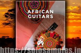 Spillaudio African Guitars WAV