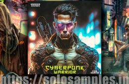 Cyberpunk Warrior For Serum