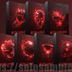 Cymatics Equinox Collection MiDi-WAV