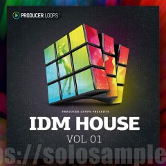 Producer Loops IDM House Vol1 MULTi