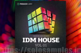 Producer Loops IDM House Vol1 MULTi