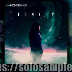 Producer Loops Lonely MULTi