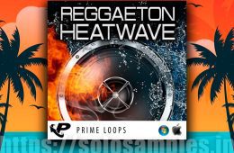 Prime Loops Reggaeton Heatwave WAV