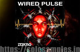 ZTEKNO Wired Pulse MULTi