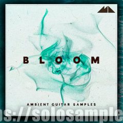 Bloom Ambient Guitar Samples WAV