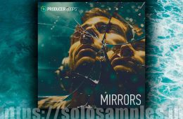 Producer Loops Mirrors MULTi