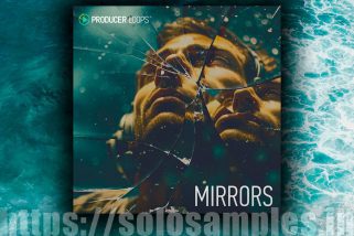 Producer Loops Mirrors MULTi