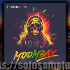 Producer Loops Moombay WAV-MIDI