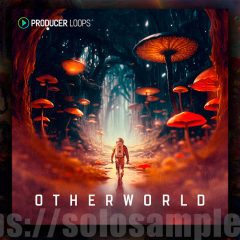 Producer Loops Otherworld MULTi