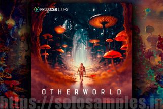 Producer Loops Otherworld MULTi