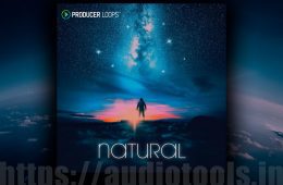 Producer Loops Natural MULTi