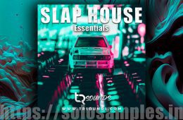 TR Sounds Slap House Essentials MULTi