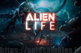 Boom Alien Life Kits-and-Designed WAV