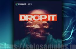 Producer Loops Drop It MULTi