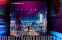 Producer Loops Echoes MULTi