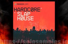 Hardcore Slap House Kits MULTi