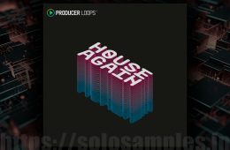 Producer Loops House Again MULTI