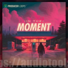 Producer Loops In The Moment MULTi