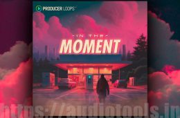 Producer Loops In The Moment MULTi