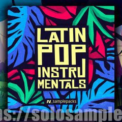 RV Latin Pop Instrumentals MULTi