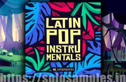 RV Latin Pop Instrumentals MULTi