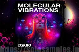 ZTEKNO Molecular Vibrations MULTi