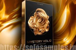 Cymatics Mystery Vol12 Gold WAV-MiDi