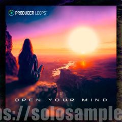 Producer Loops Open Your Mind MULTi