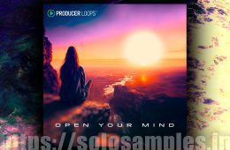 Producer Loops Open Your Mind MULTi