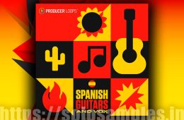 Spanish Guitars and Vox MULTi