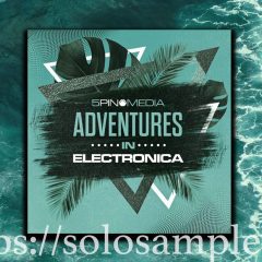 Adventures In Electronica MULTi