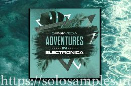 Adventures In Electronica MULTi