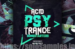 Acid PSY Trance Songstarters WAV-MiD